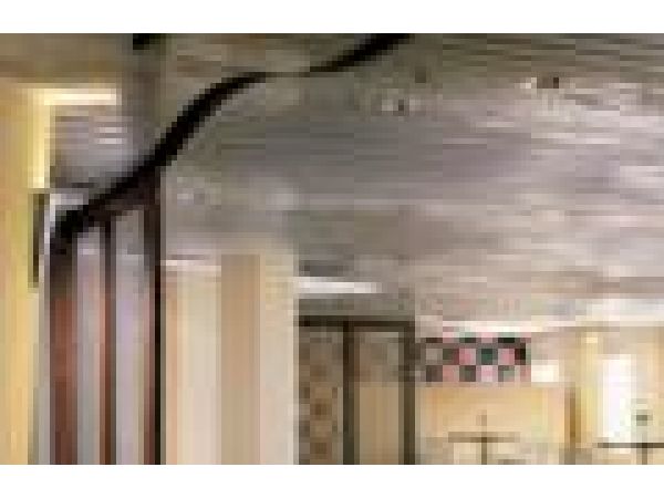USG Ceilings Paraline Linear Specialty Ceiling Sys