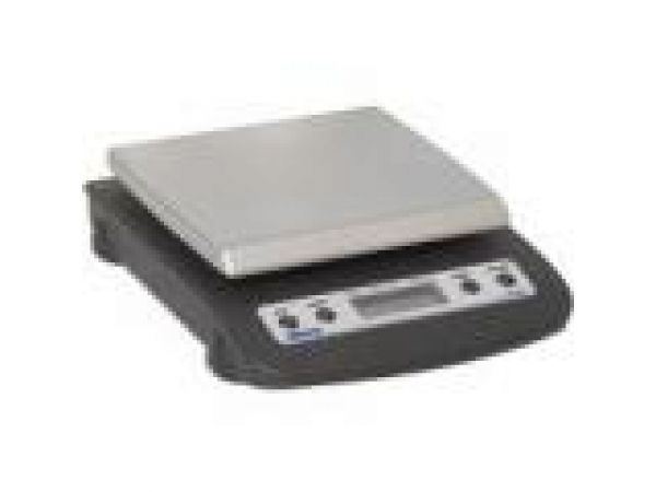 PE20 Digital Straight Weight Scale