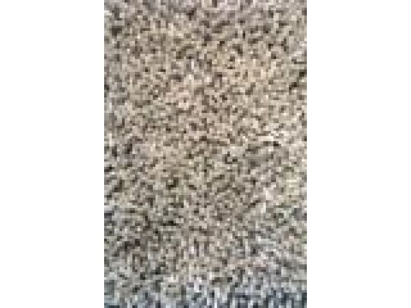 Wool Shag Area Rugs - Farro