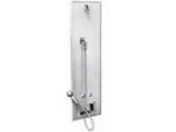 Chase Mounted Handicap SX Panel Shower