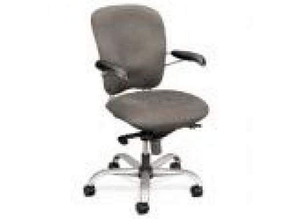 Perpetual‚ Work Chairs