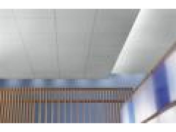 USG Ceilings True ClimaPlus Acoustical Ceiling Pan