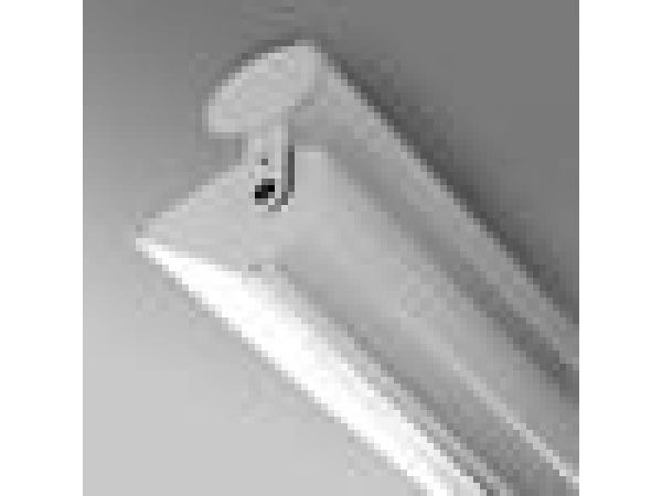Wall - Compact Fluorescent - Large _F139