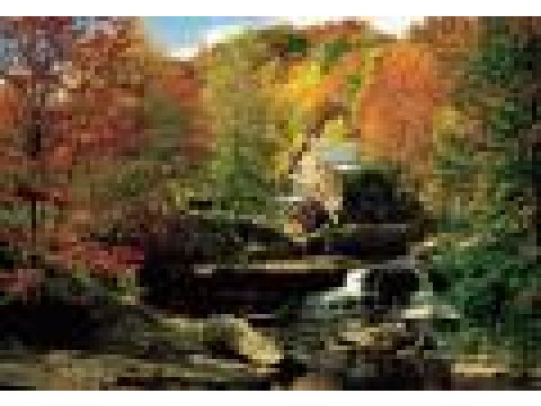 C803 Old Grist Mill 