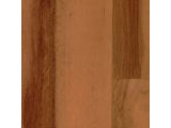 Eternal wood dark maple 11592