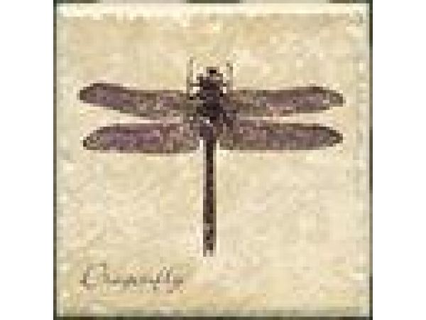 Dragonfly B