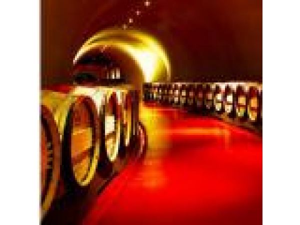 Vineyard 29 Curved Winecave