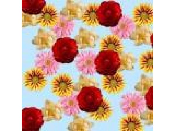 Flowers Ceiling Tile Cover