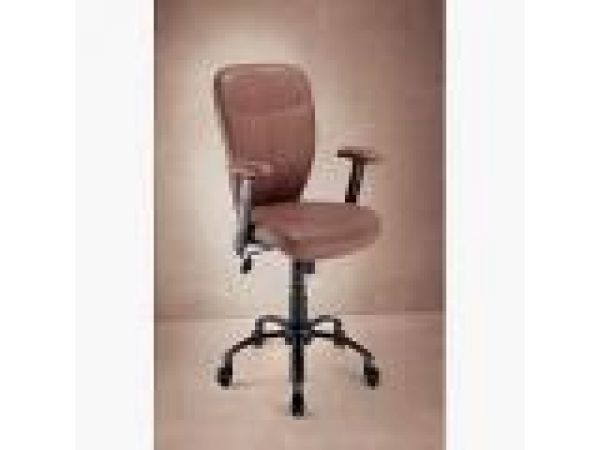 Samsonite Ergonomic Chair