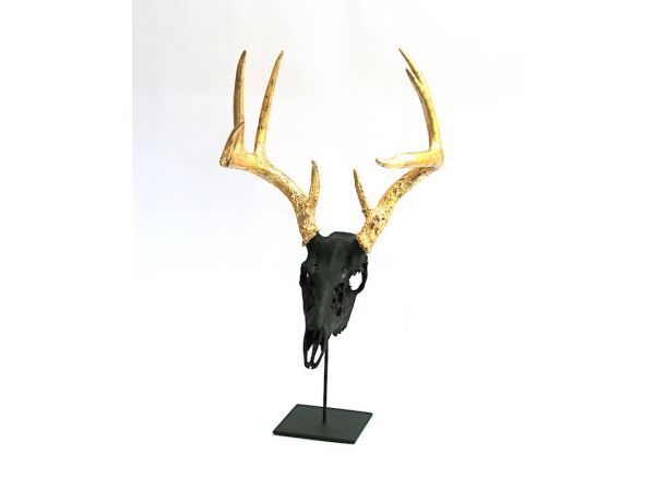 Embellished Deer Skull Sculpture