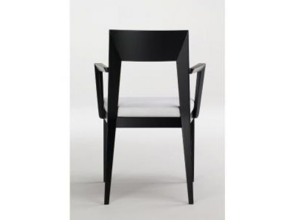 Mary Series Arm Chair-Rear View