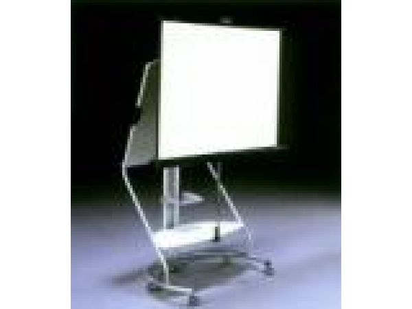 Looksee Easel
