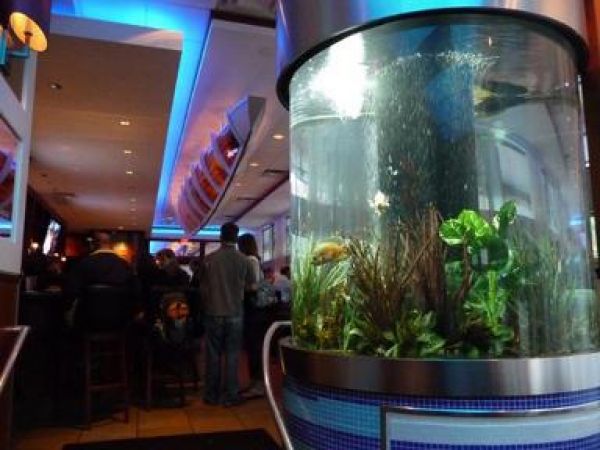 Seafood Restaurant Aquarium