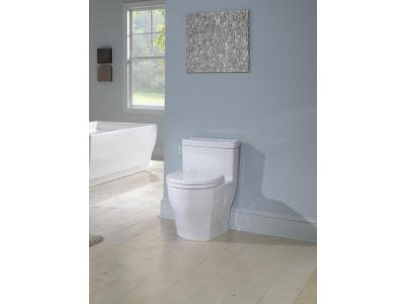 Aimes High-Efficiency One Piece Toilet