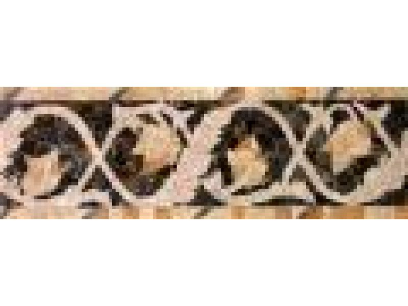Stone Mosaics-4.5x13 Twisting Ivy E