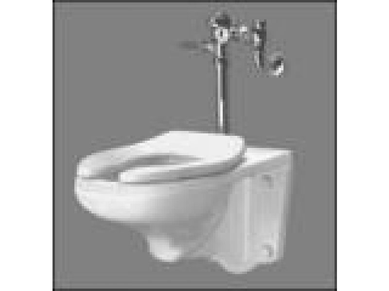 Afwall Elongated Wall-ADA Retrofit Toilet