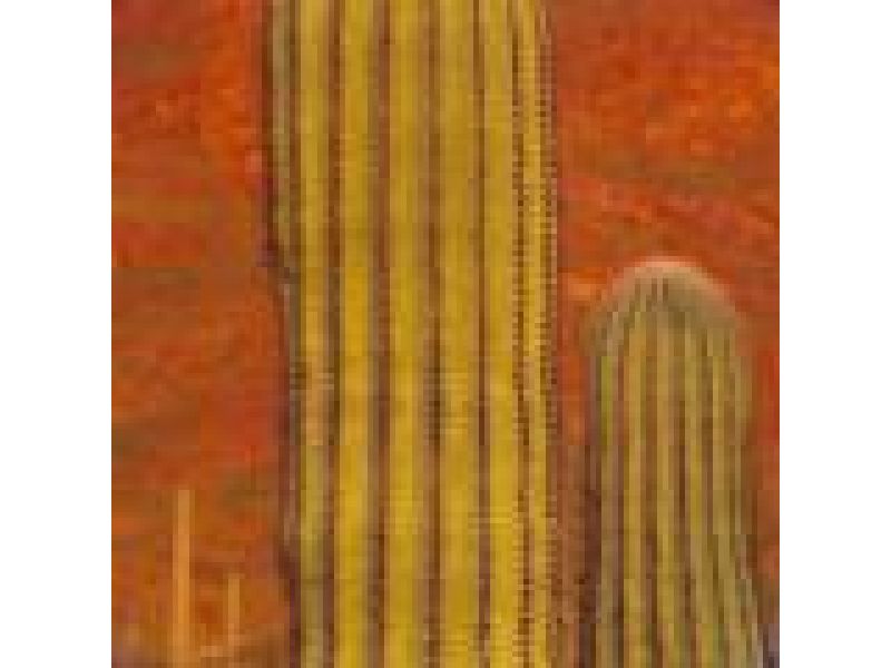 Saguaro Cactus and Volcanic Red Wall