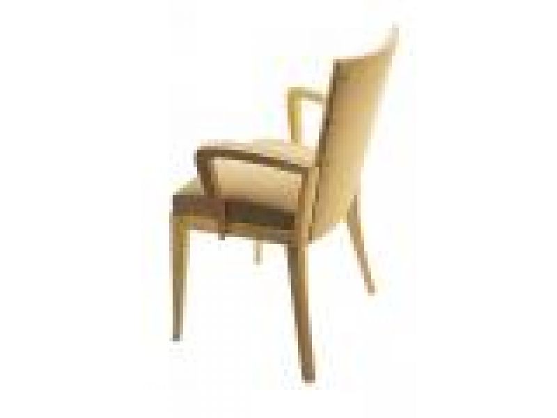 Cadette Arm Chair Upholstered Back