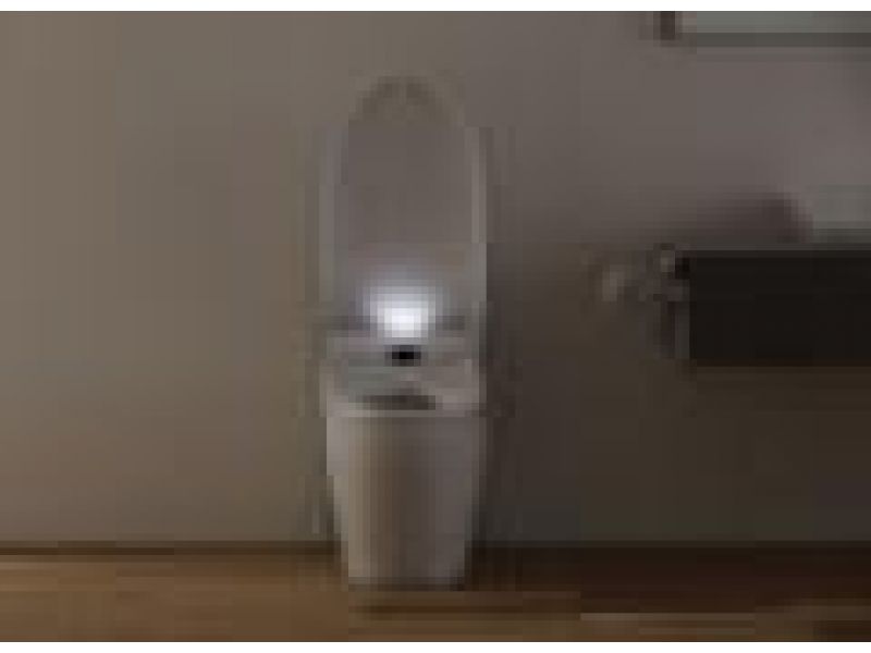 NEOREST 550 Dual Flush High-Efficiency Toilet