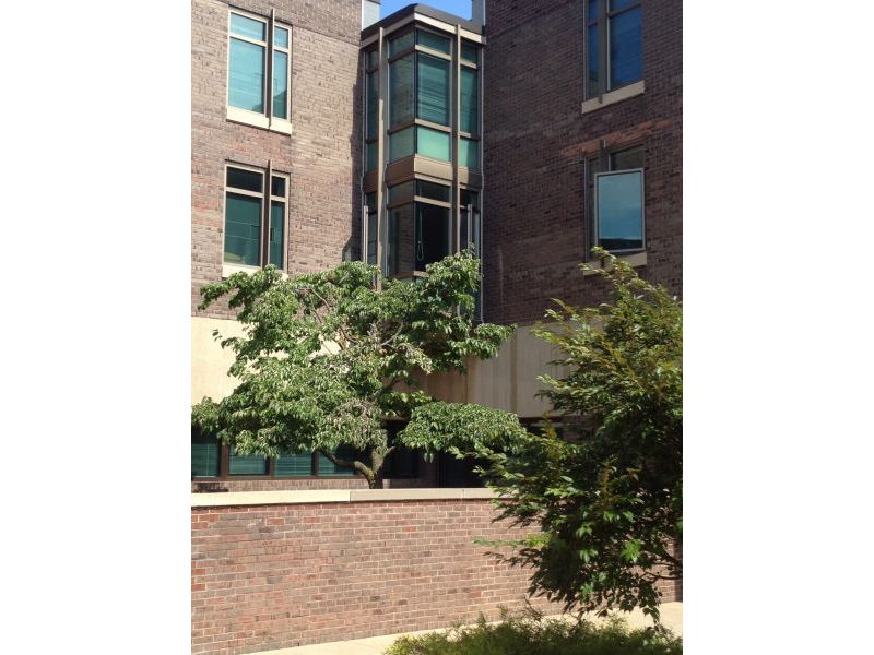SUNY at Fredonia, student residential halls, window replacement