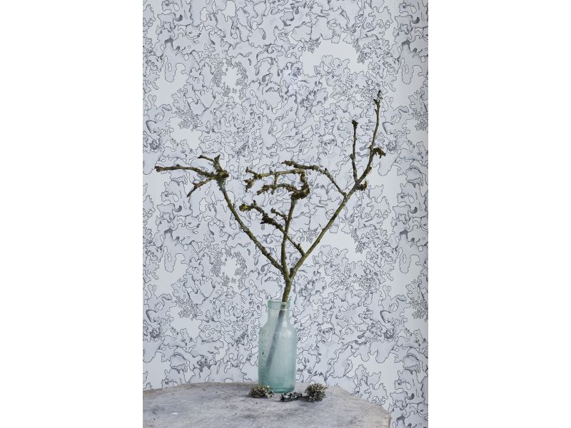 Lichen wallpaper