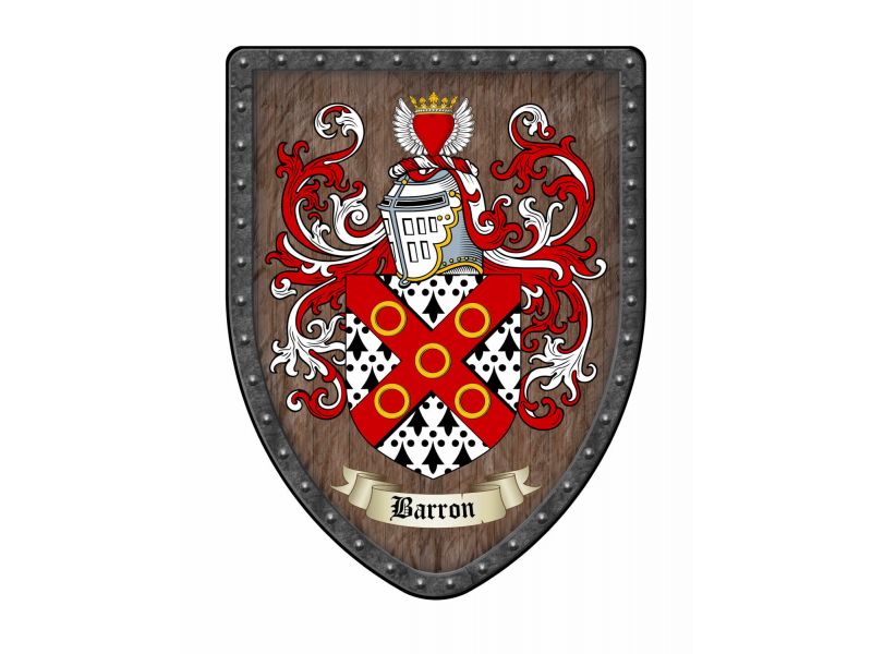 Custom Family Coat of Arms