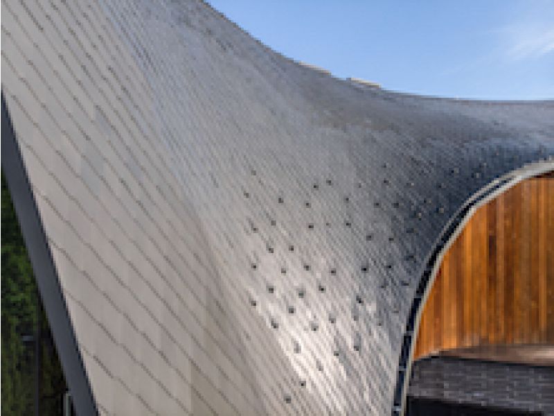 Bézier Curve House\'s Imaginative Dragon-scale Roof Design Realized with RHEINZINK Zinc Panels