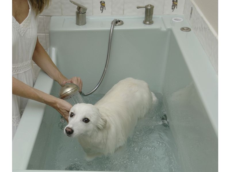 Jentle Pet Spa For Dogs