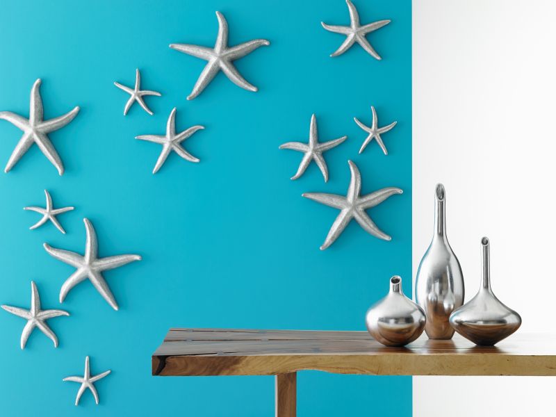 Star Fish Wall Art