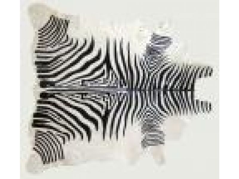 Zebra Hide