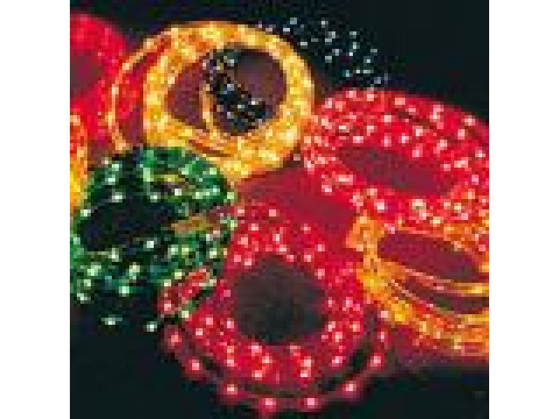 NFL-200R -- Red Two-Wire Low Voltage Duralight
