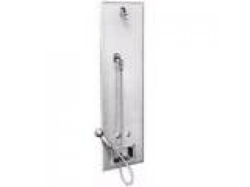 Chase Mounted Handicap SX Panel Shower