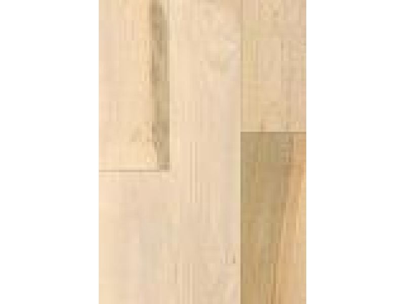 Solid Silver Maple - Pacific