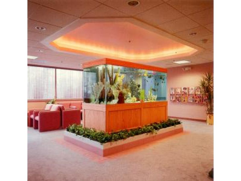Medical Office Aquarium