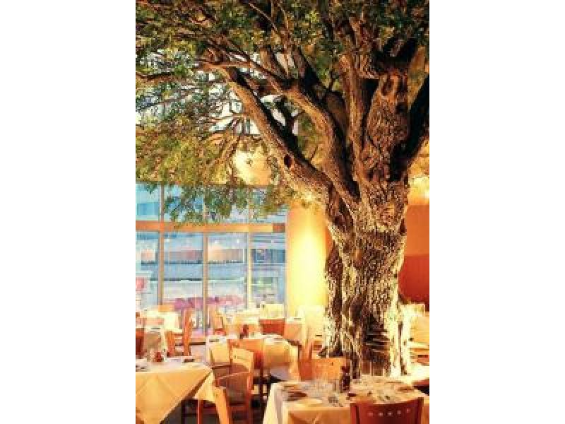Oak Tree â€“ Restaurant