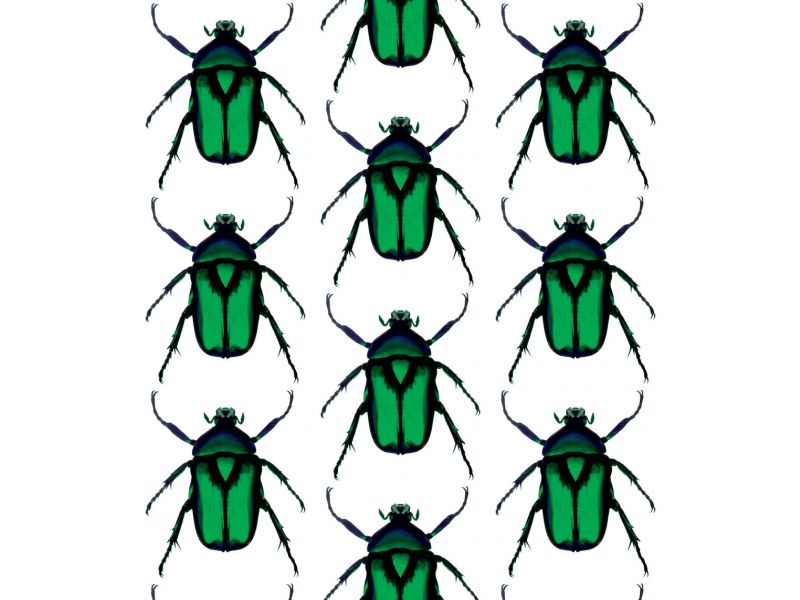 Beetle - Green