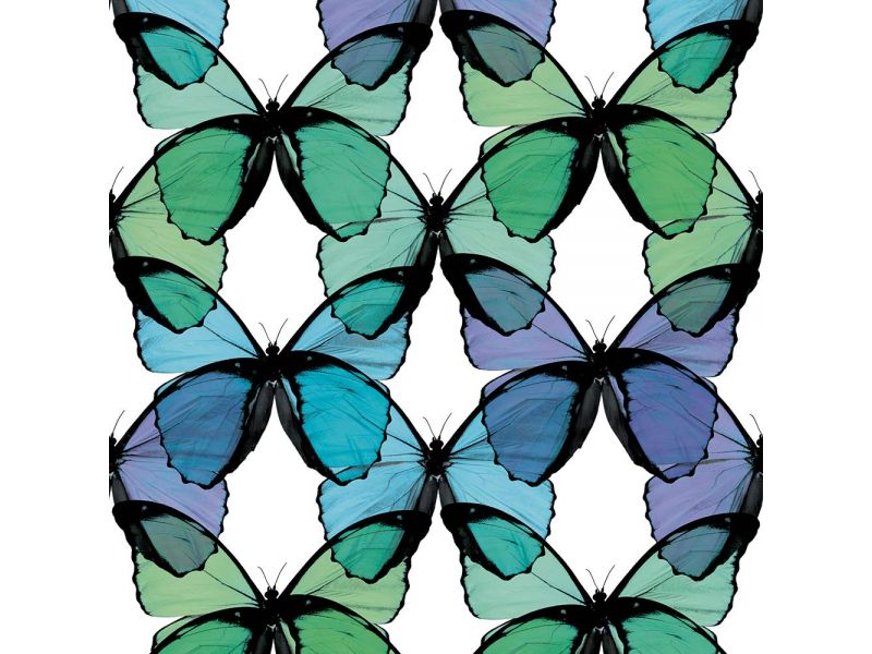 Butterfly - Seafoam