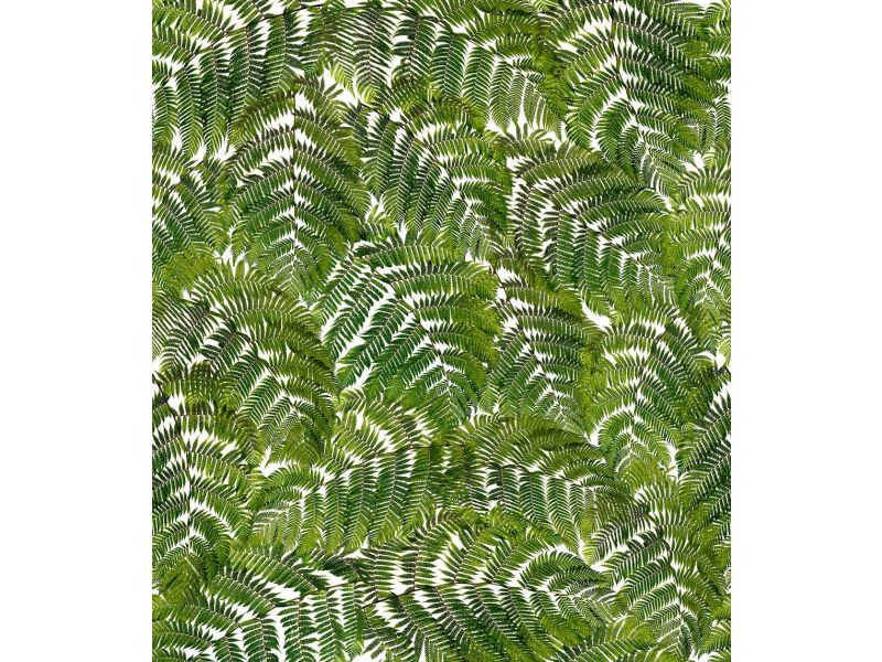 Frond Green