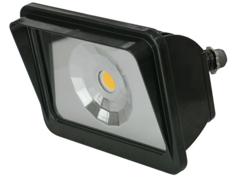LED Floodlight - FLL30